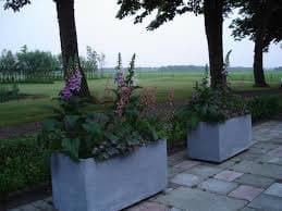 De Ooldershoeve, foto 17